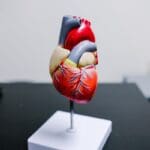Heart disease : How to Prevent Early Heart Stroke Reveals Dr Razdan