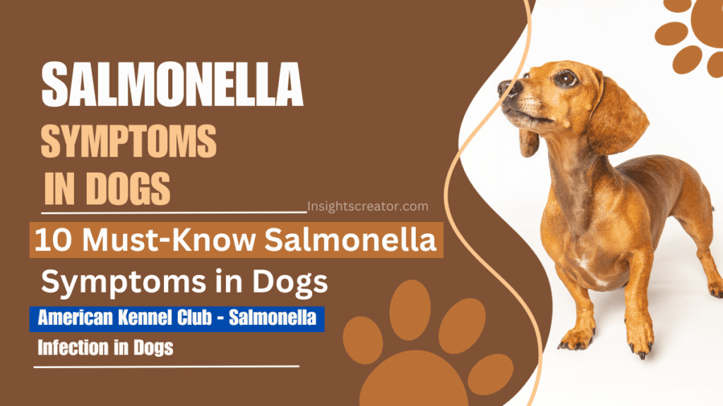 10 Must-Know Salmonella Symptoms In Dogs