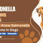 Save Pets – 10 Must-Know Salmonella Symptoms in Dogs