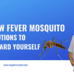 Deadly Yellow Fever Mosquito: How to protect Yourself ? 2024