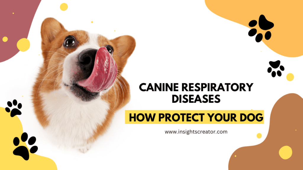 Canine Respiratory Diseases How Protect Your Dog 2024