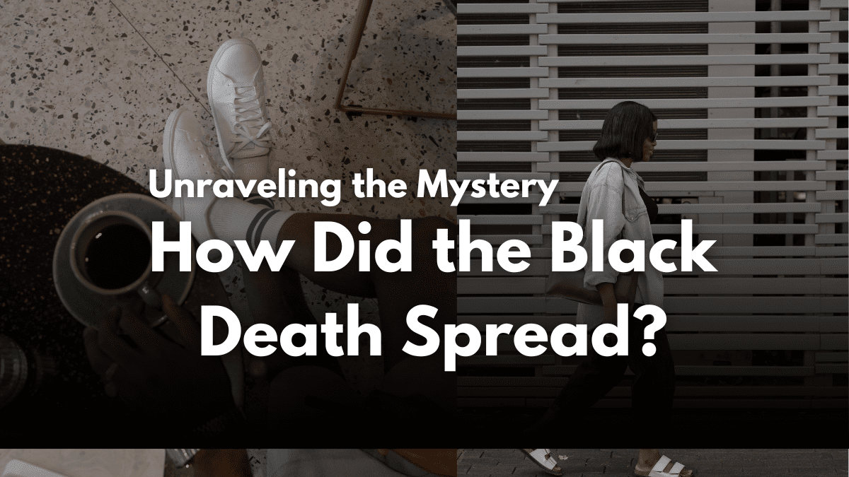 How Did The Black Death Spread?