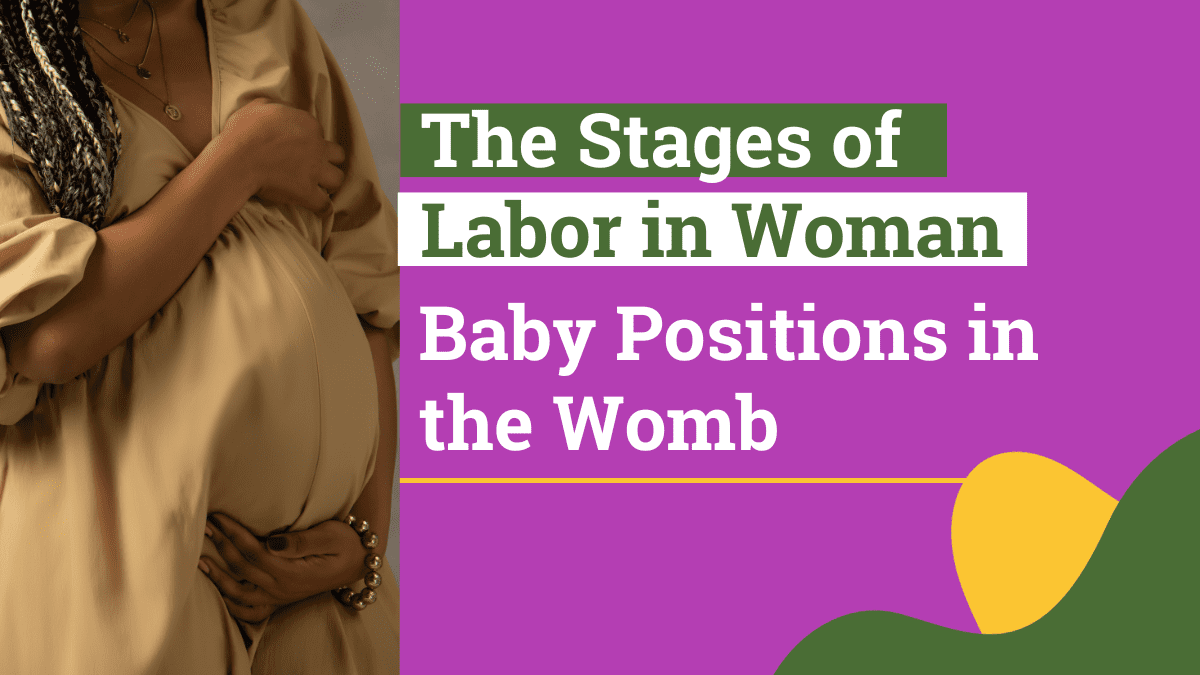 The Stages Of Labor In Woman : Baby Positions In The Womb