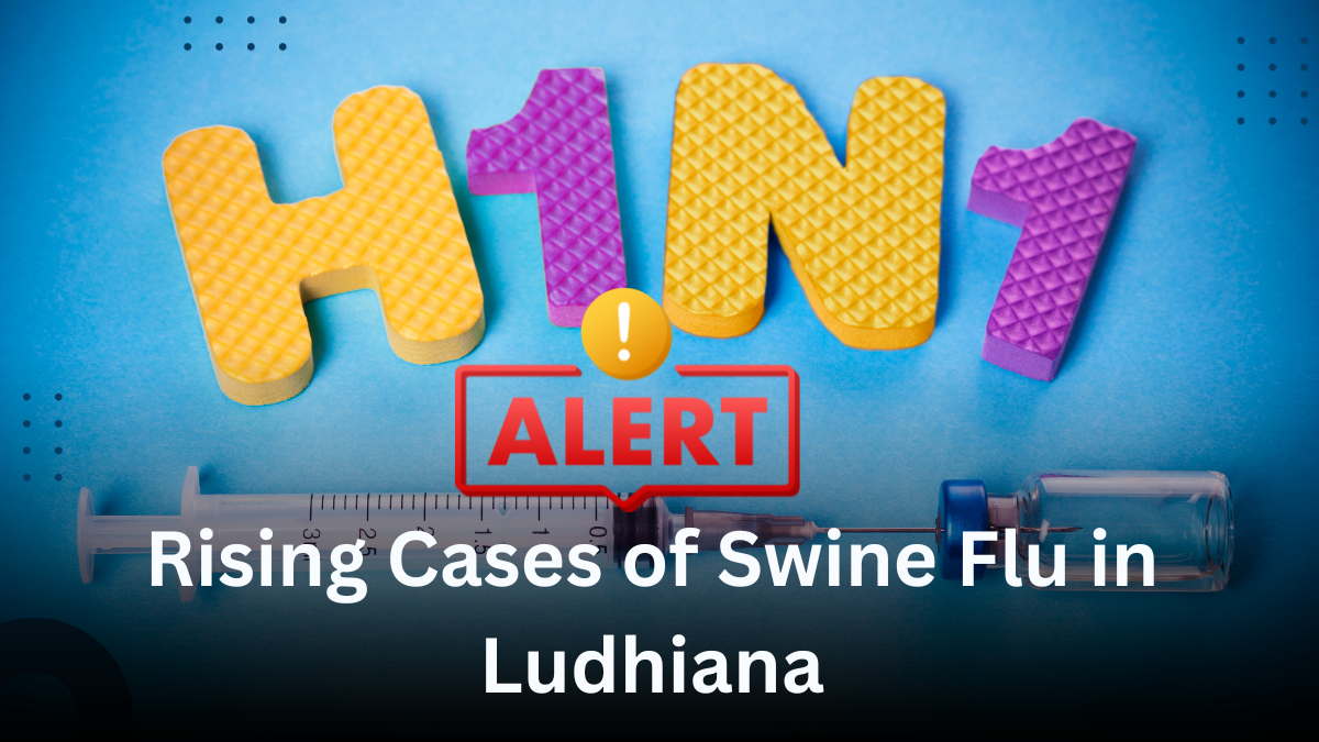 Rising Cases Of Swine Flu In Ludhiana Demand Vigilance During Biting Cold