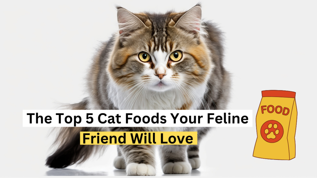 The Top 5 Cat Foods Your Feline Friend Will Love