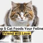 The Top 5 Cat Foods Your Feline Friend Will Love