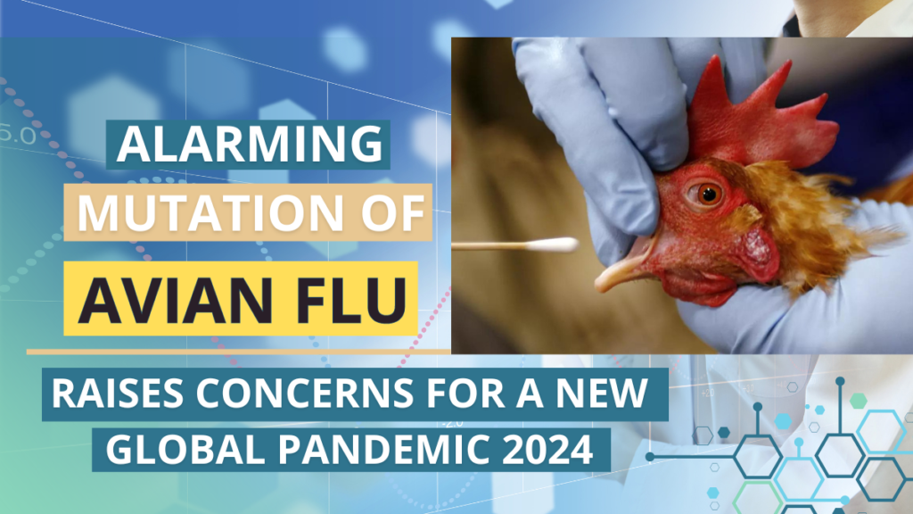 Alarming Mutation of Avian Flu Raises Concerns for a New Global Pandemic 2024