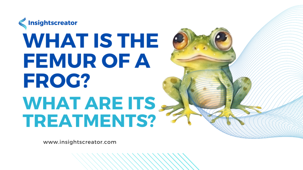 What is the femur of a frog? What are its treatments?