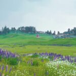 Gulmarg : Why June and July are the Best Months to Visit Gulmarg, Kashmir