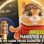 Price of Hamster Kombat? How Can We Earn from Hamster Kombat?